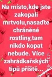 Obrázok