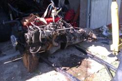 d22m9gegp0hdm608lo35.jpg
