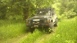 d6mzgcpng8102zhsex7d.jpg