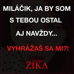 Obrázok