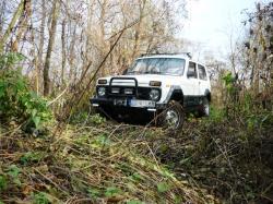 dwzvr600puv8w1oth5j6.jpg