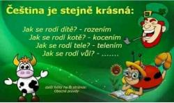 Obrázok