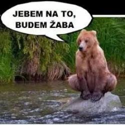 Obrázok