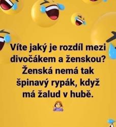 Obrázok