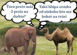 Obrázok