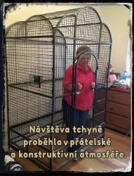 Obrázok