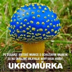 Obrázok