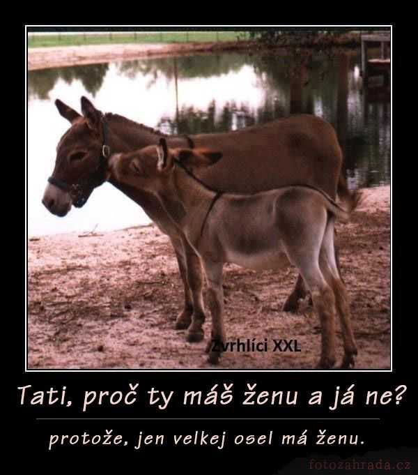 Obrázok