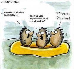 Obrázok