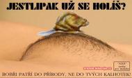 Obrázok