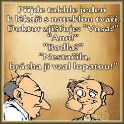 Obrázok