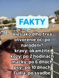 Obrázok