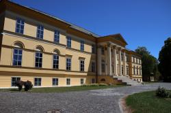 Obrázok