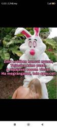 iqsn5f9f055nzoxvyy5j.jpg