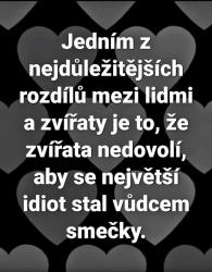 Obrázok