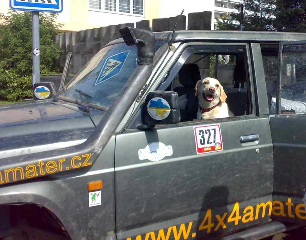 Obrázok