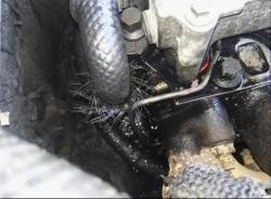 jd40o1yloil2y2991jpi.jpg