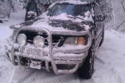 jdq38rirxupx9fdut696.jpg
