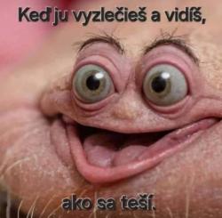 Obrázok
