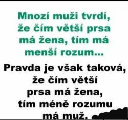 Obrázok