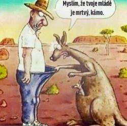 jyzjdktlmx7keqxe65qq.jpg