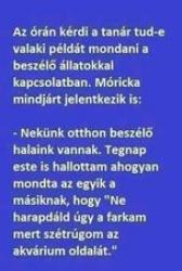 k00i8i9g1exz709h7dkt.jpg