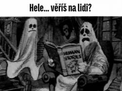 k96525uuyw20nnk81kfh.jpg