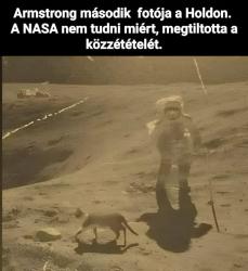 ka9v27ul72jeq9821vtg.png