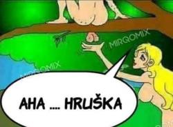 Obrázok