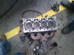 klqps911bulub8x8zo01.jpg