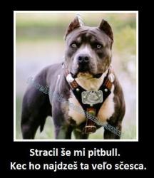 Obrázok