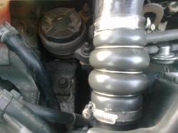 kv3j76w6pafql0viun6a.jpg