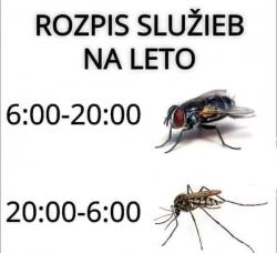 ky4m0wqfm9gxvnxzl8qi.jpg