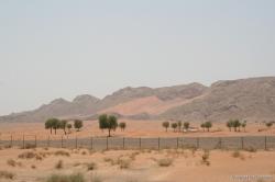 l7907zj0aphrqao1n367.jpg