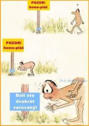 l81mobsukbmtpylaqcwh.jpg