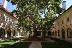 Obrázok