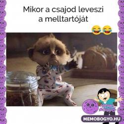 ledwgc3bwq0s3e8qrmn7.jpg