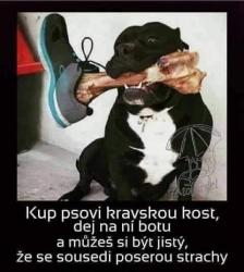 lfyqp6d7tx6x3b8whcwj.jpg