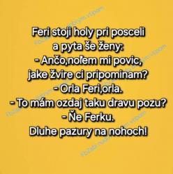 Obrázok