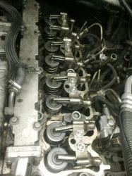 lzmw76g4ro9dtk01ldeg.jpg