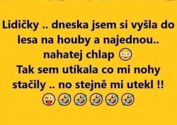 Obrázok
