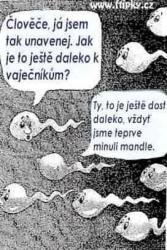 mqqz1fbbe5bnaf58qouw.jpg