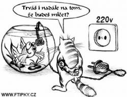 mtpxp0bjher2r835pvwz.jpg