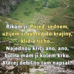 ndqfh6efvfk05ezxu69j.jpg