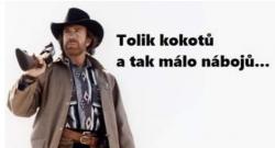 nzcxhltfnfbyz5ihpcv7.jpg