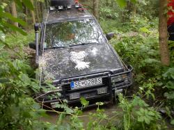 oge3y6d6p5hd2c95emr8.jpg
