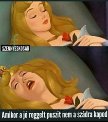 ogqwdhnf81bzsr1mvtm5.jpg