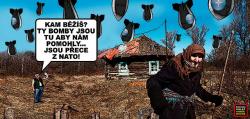 ohh1stus7nzs6nnty526.jpg