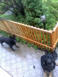 olx6vv7ssliexibc9ik9.jpg