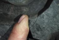 p77di28vaadkofimb13w.jpg